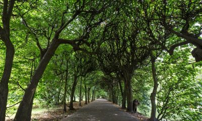 Want Things To Do, Los Angeles? A Public Park Can Recharge Your Batteries