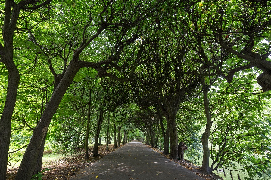 Want Things To Do, Los Angeles? A Public Park Can Recharge Your Batteries