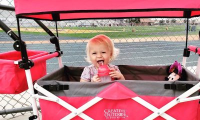 A-Foldable-Wagon-Is-Helpful-For-Parents-And-Professionals